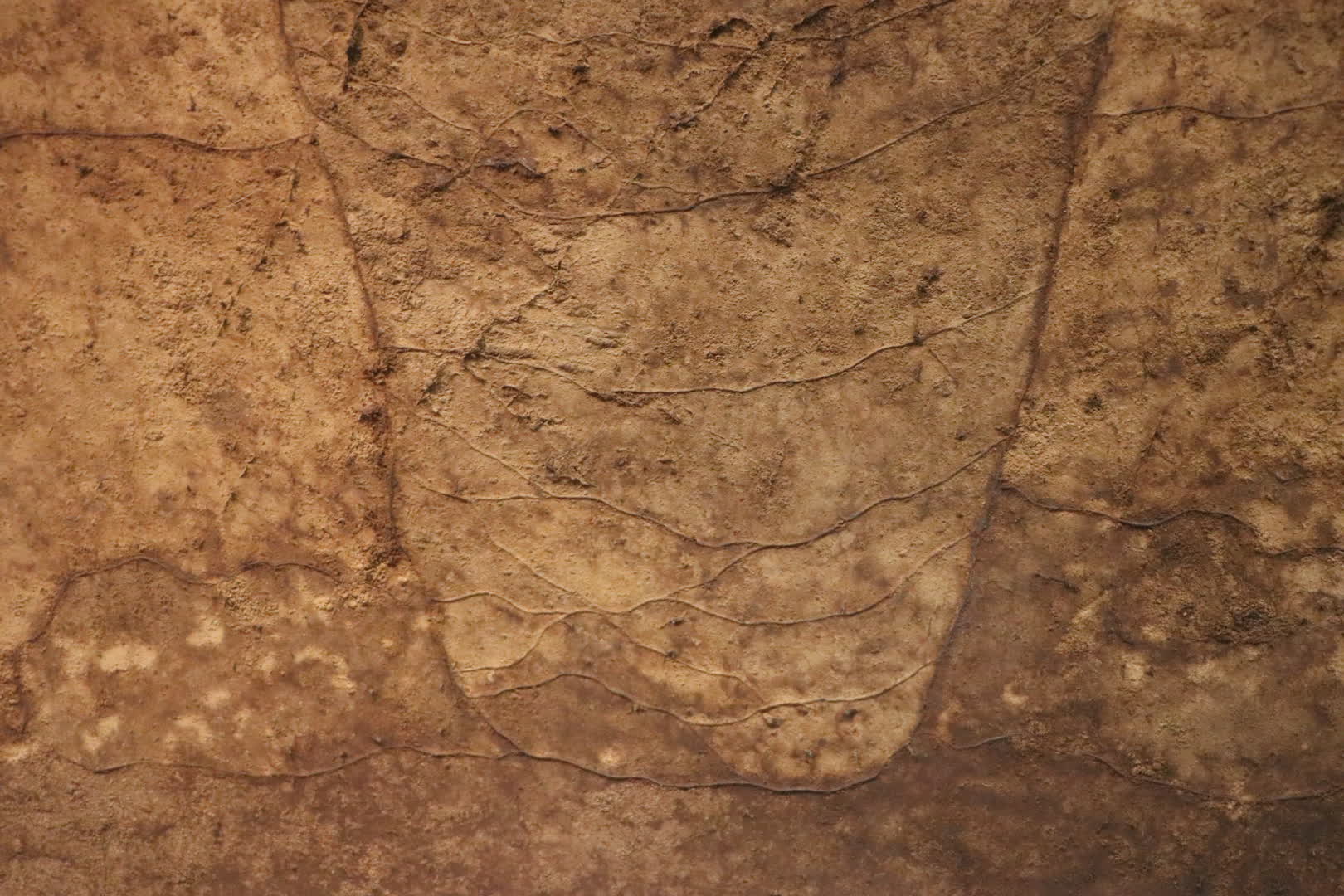 船久保遺跡の「狩猟用断面の土層剝ぎ取り」