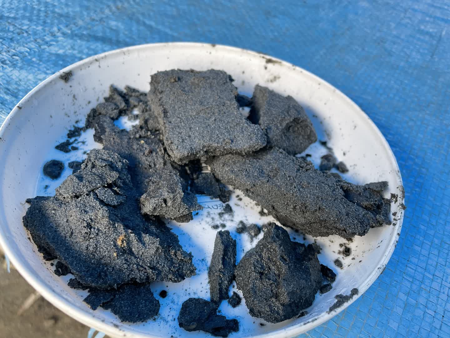 発掘体験で得られた琥珀