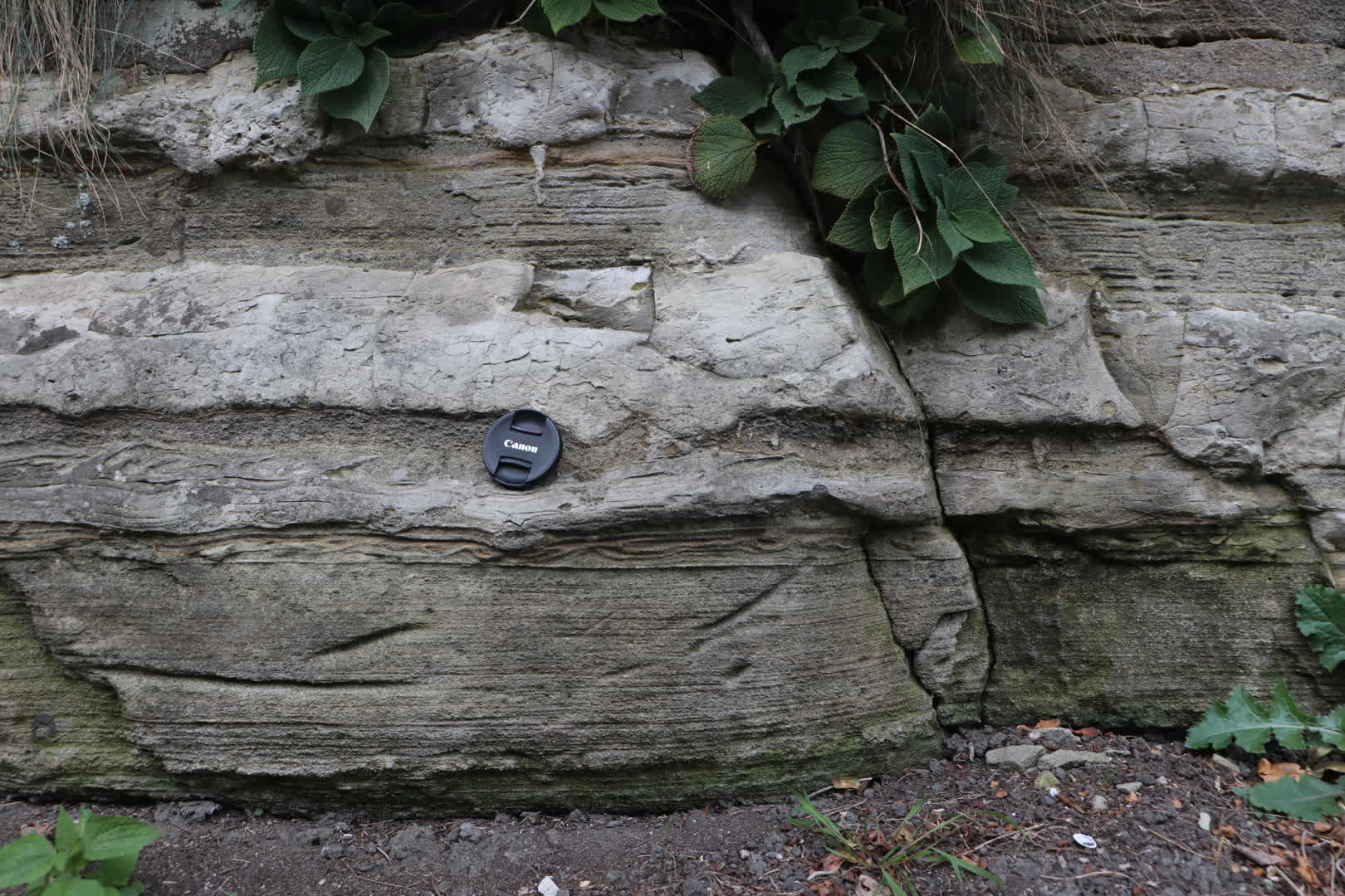 松島駅から少し離れた砂泥互層の露頭