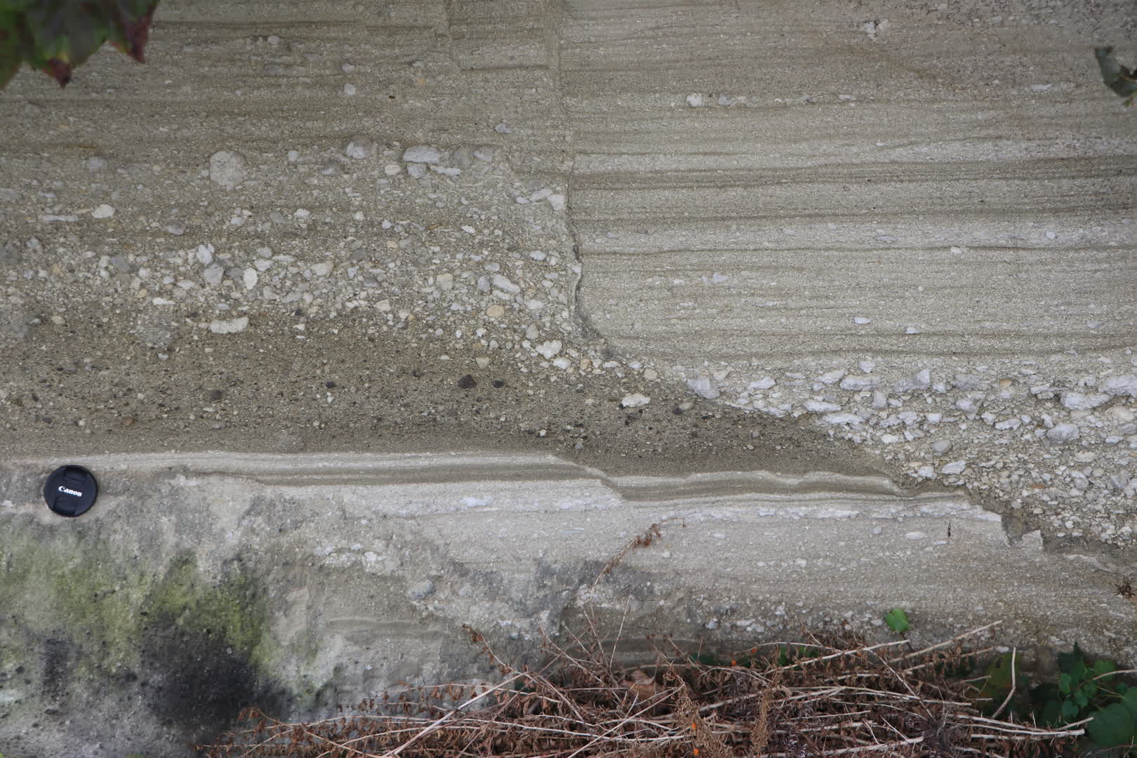 松島駅周辺で発見した正断層の露頭