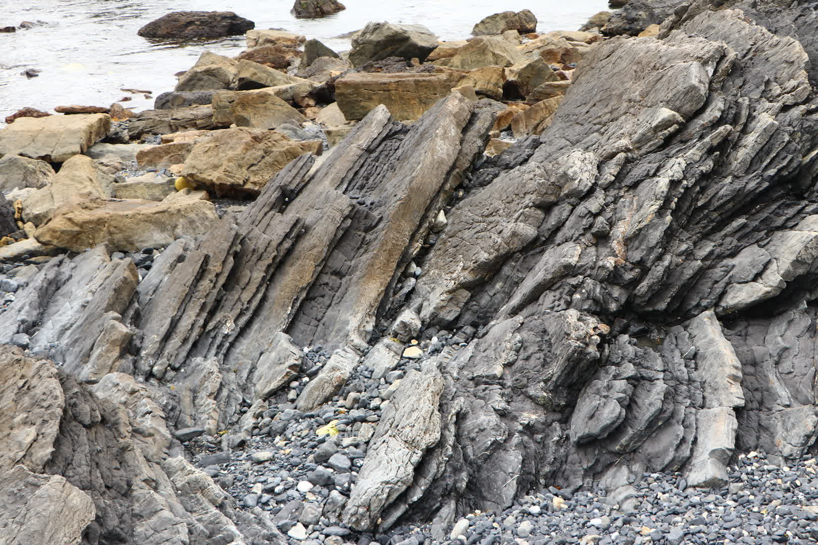 室戸岬周辺で見られるタービダイト