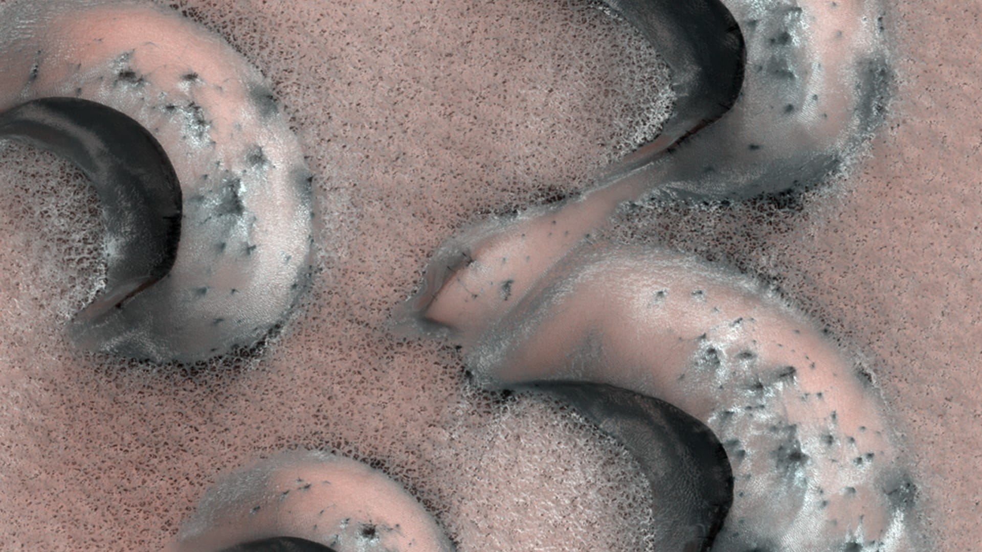 火星に見られるバルハン砂丘