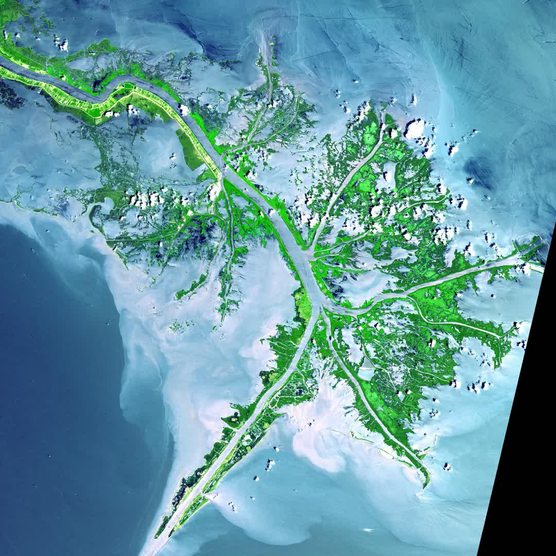 ミシシッピ川デルタ