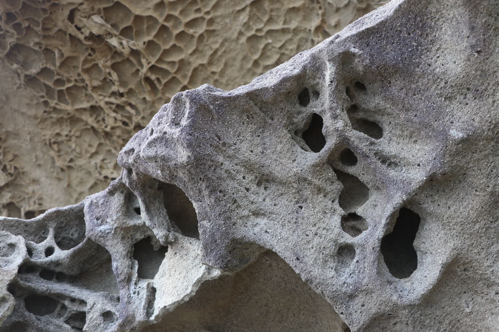 鬼ヶ城のタフォニ