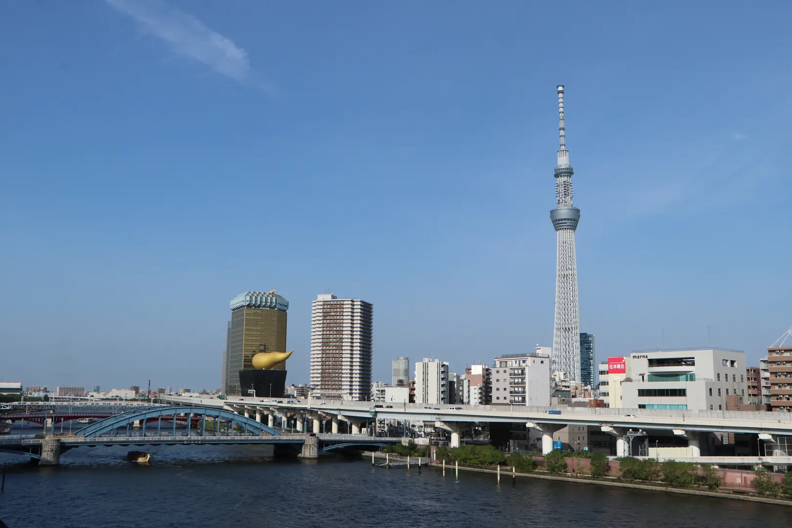 会場の屋上から見える景色。東京スカイツリーや駒形橋などが観察できる