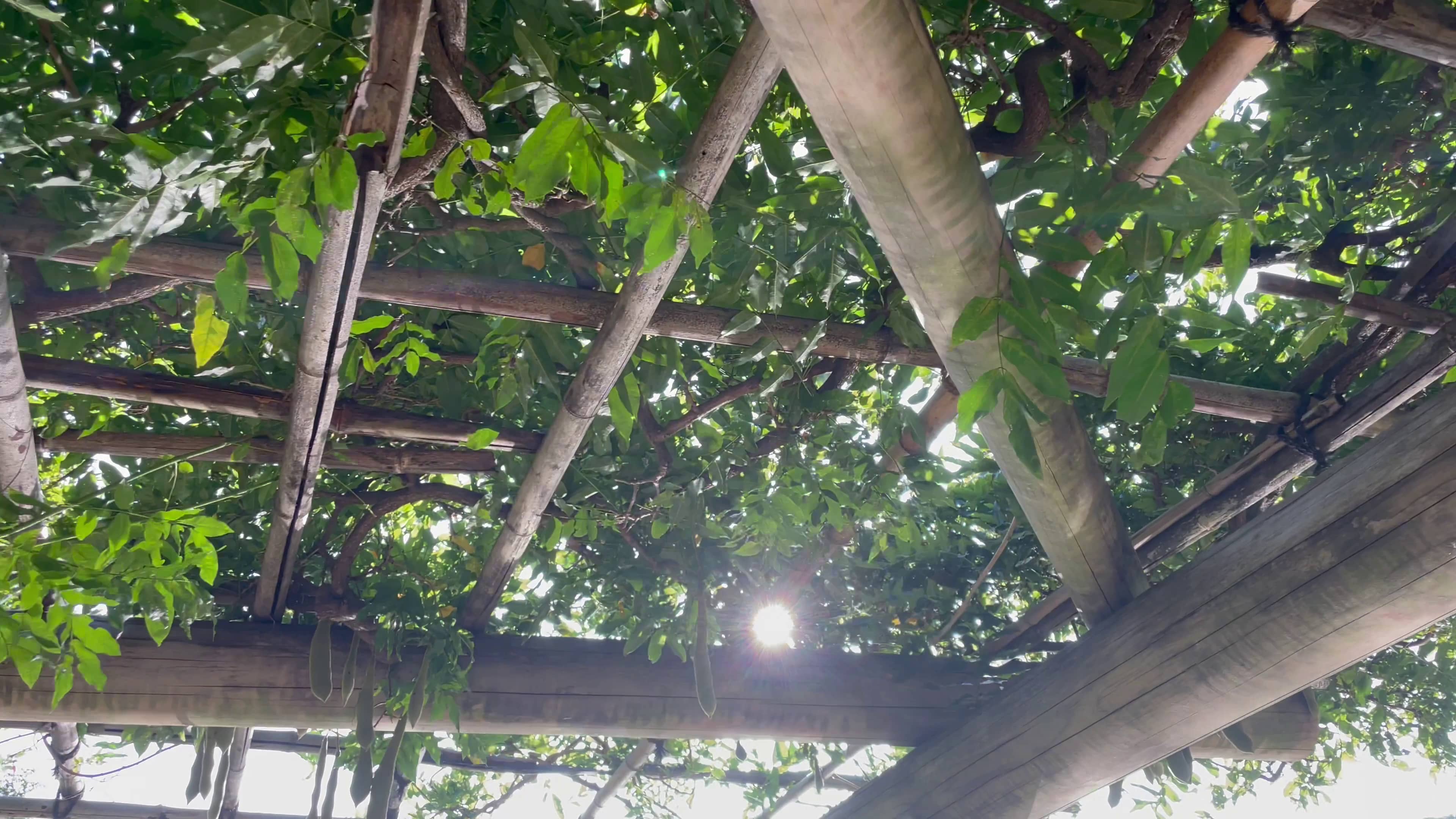 元の動画のスクリーンショット